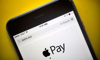 pay直播回放吃瓜,一场吃瓜群众的狂欢盛宴