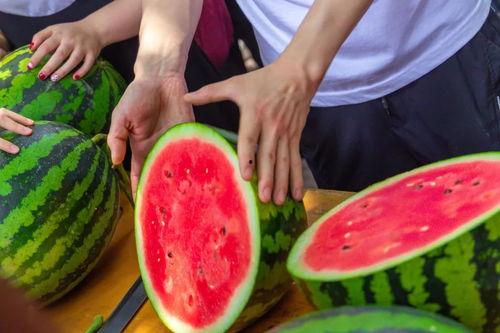 许昌大学吃瓜视频,揭秘校园生活趣味瞬间