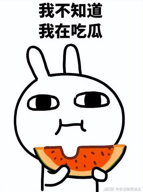 吃瓜的布朗熊,揭秘娱乐圈幕后故事