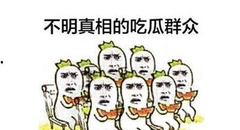 记者采访吃瓜群众,记者采访吃瓜群众，揭秘生活百态