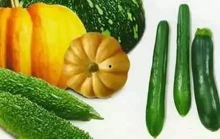 生夏瓜可以吃吗,生夏瓜的食用指南
