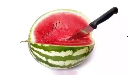 吃高端的瓜,高端瓜果的尊享之旅