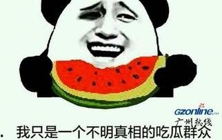 网络吃瓜是意思,揭秘虚拟世界的围观文化