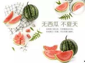 最新吃瓜每日大赛,最新热门事件盘点，揭秘娱乐圈幕后真相