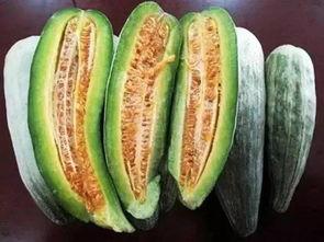 淮南吃瓜群,揭秘网络社交圈的趣味与争议