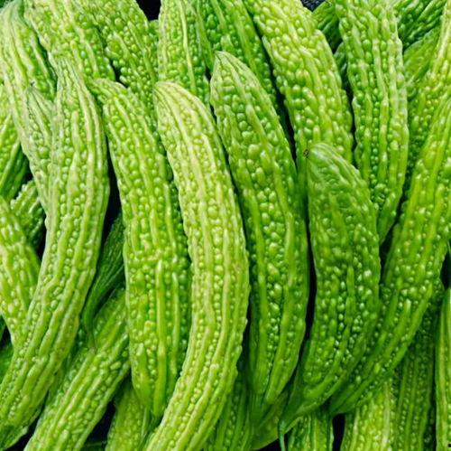 吃瓜头像代表什么,吃瓜群众视角下的娱乐圈风云录