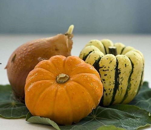 瓜吃南瓜,瓜中珍品,美味无限