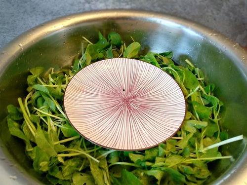 农村苗苗吃的瓜,农村童年瓜果记忆