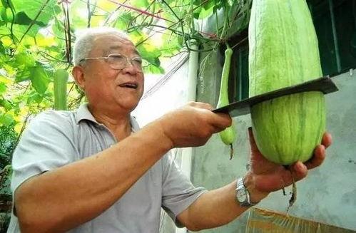 吃瓜李随随,揭秘娱乐圈背后的那些事儿