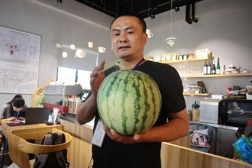 浦东南汇民警吃瓜,网络热议背后的真相与反思